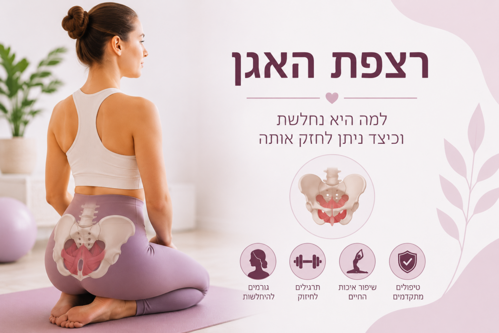 המחשה של רצפת האגן אצל אישה, למאמר על היחלשות רצפת האגן ודרכים לחיזוקה.